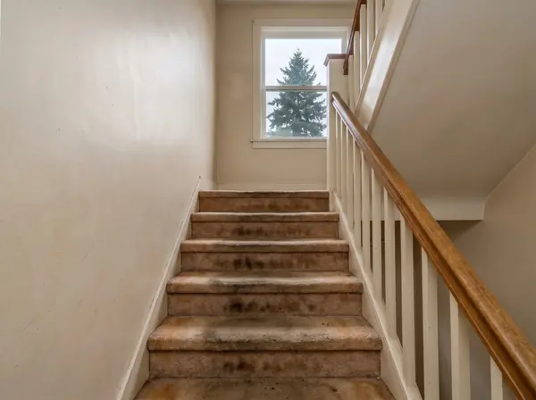 Sehome bungalow staircase with worn carpet before hardwood treads